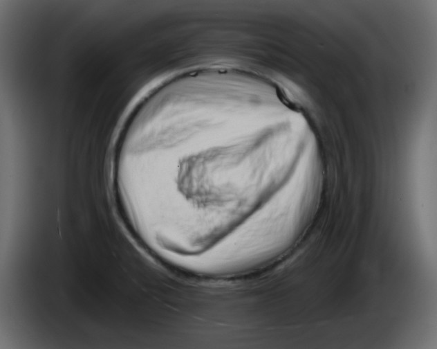 X0000084601424200703231917