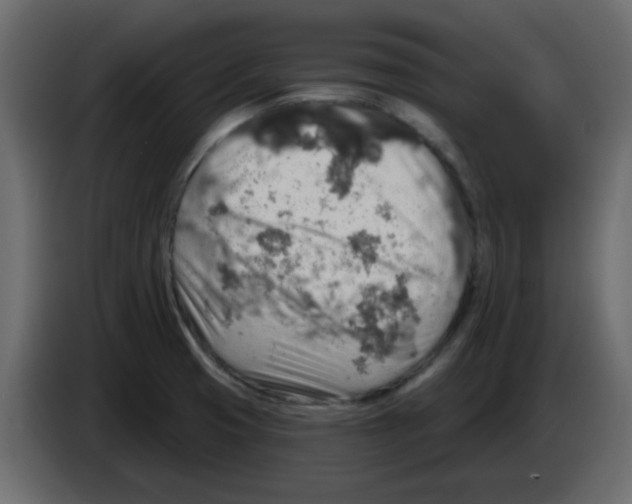 X0000084601425200703231917