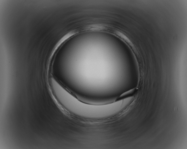 X0000084601426200703231917