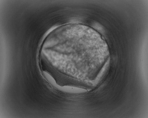 X0000084601427200703231917