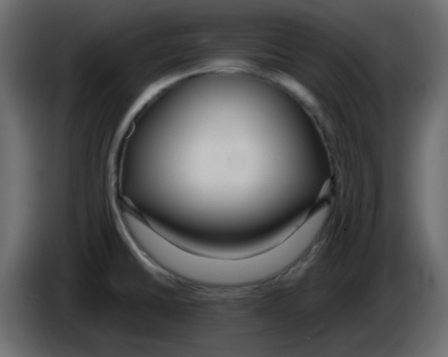 X0000084601430200703231917