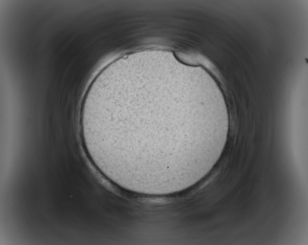 X0000084601431200703231917