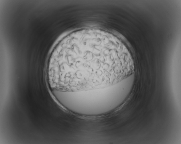 X0000084601432200703231917