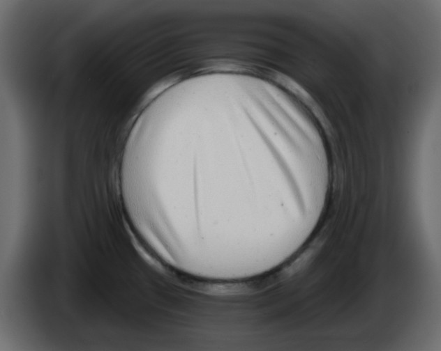 X0000084601433200703231917