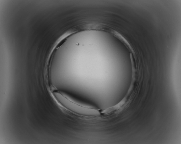 X0000084601434200703231917