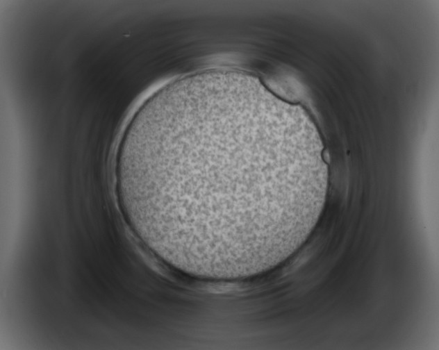 X0000084601435200703231917