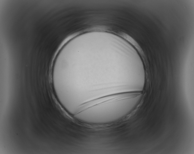 X0000084601436200703231917