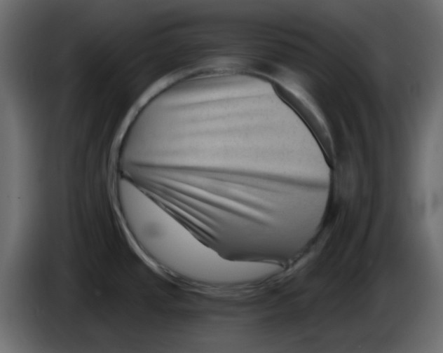 X0000084601437200703231917