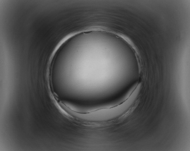 X0000084601438200703231917