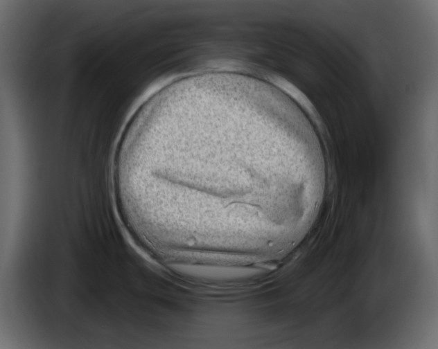 X0000084601439200703231917