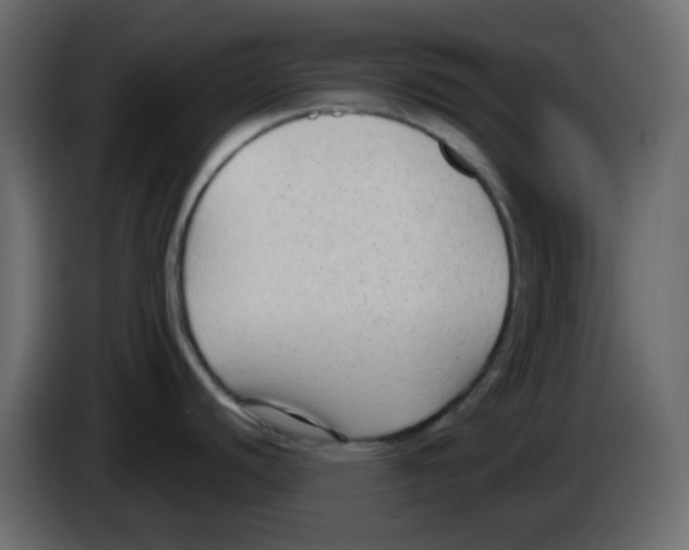 X0000084601440200703231917