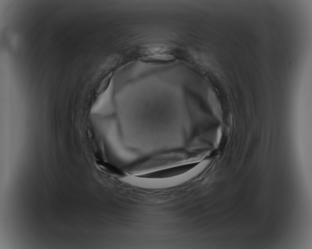 X0000084601441200703231916