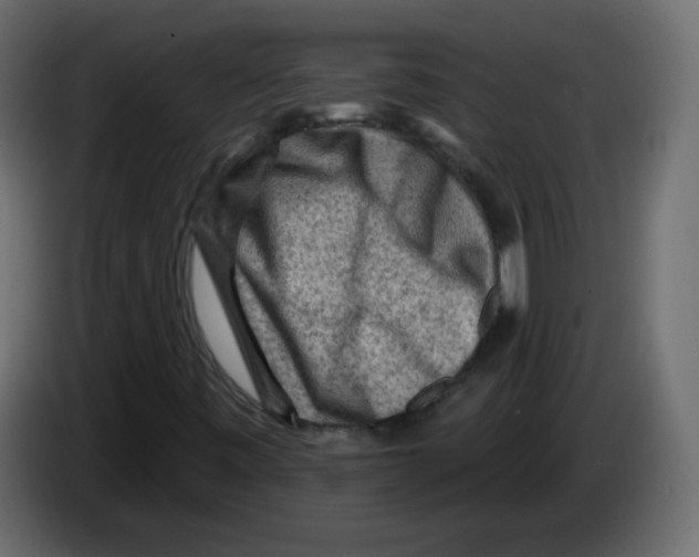 X0000084601443200703231916