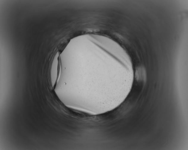 X0000084601444200703231916