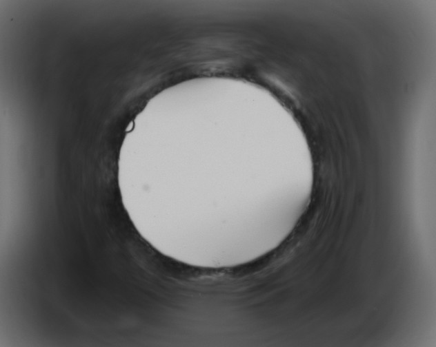 X0000084601447200703231916