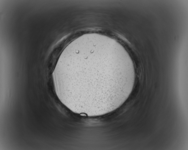 X0000084601448200703231916