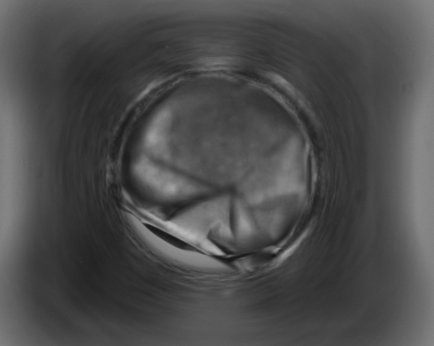 X0000084601449200703231916