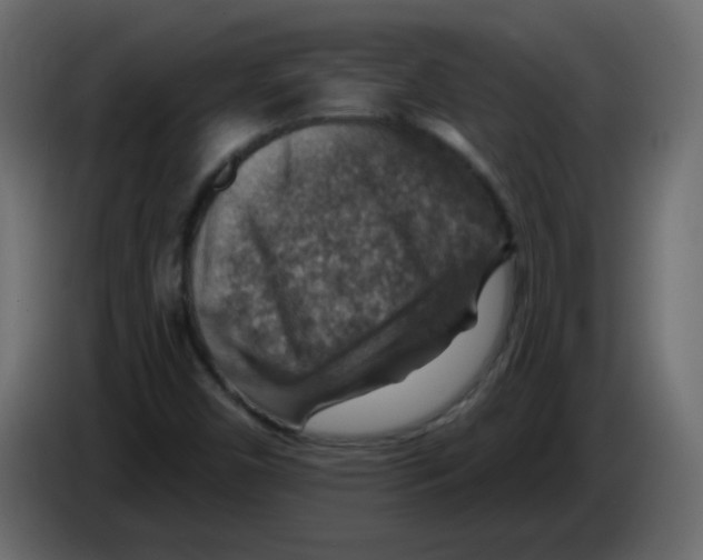 X0000084601450200703231916