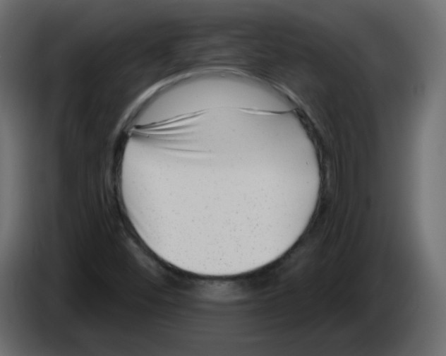 X0000084601452200703231916