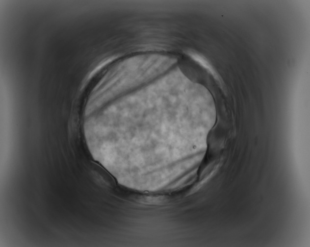 X0000084601453200703231916