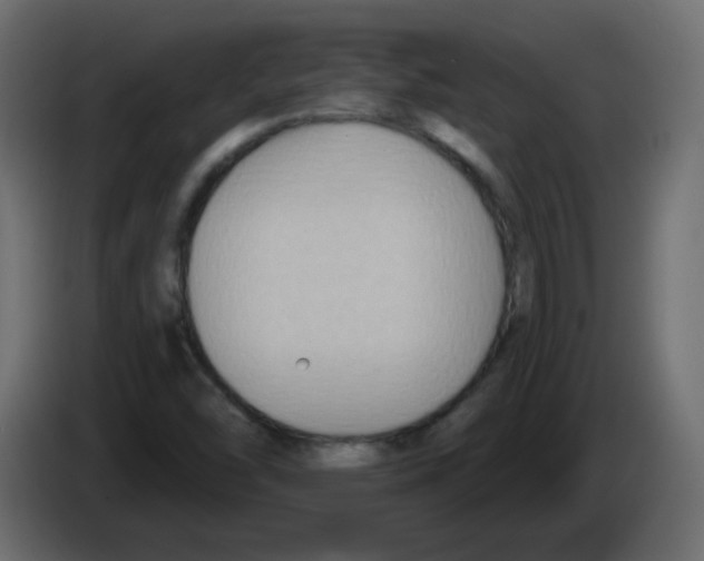 X0000084601454200703231916