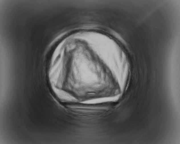 X0000084601456200703231916