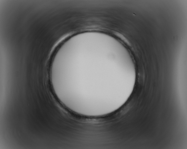 X0000084601458200703231916