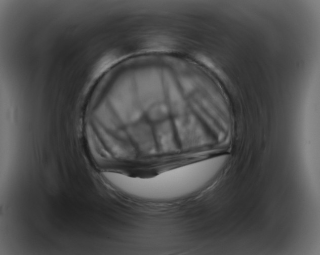 X0000084601459200703231916