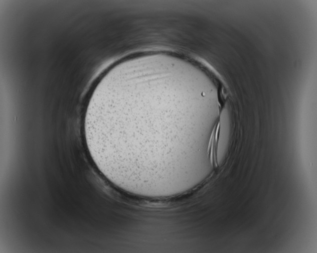 X0000084601460200703231916