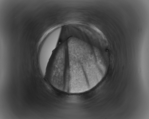 X0000084601461200703231916