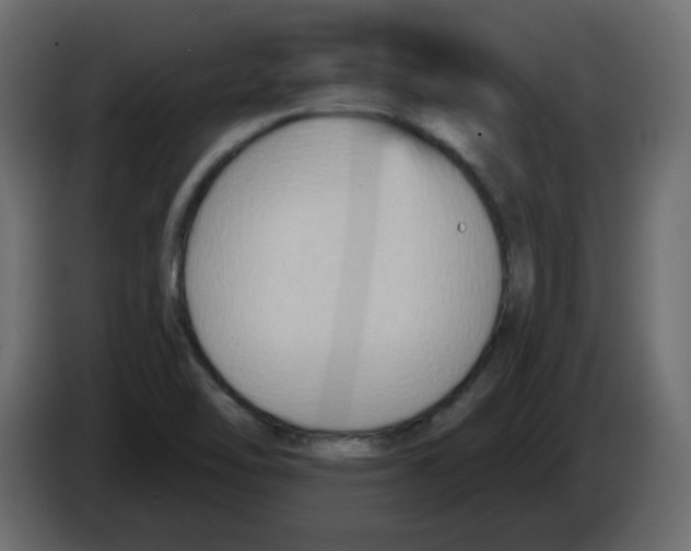 X0000084601462200703231916