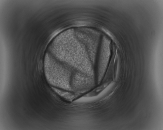 X0000084601465200703231916