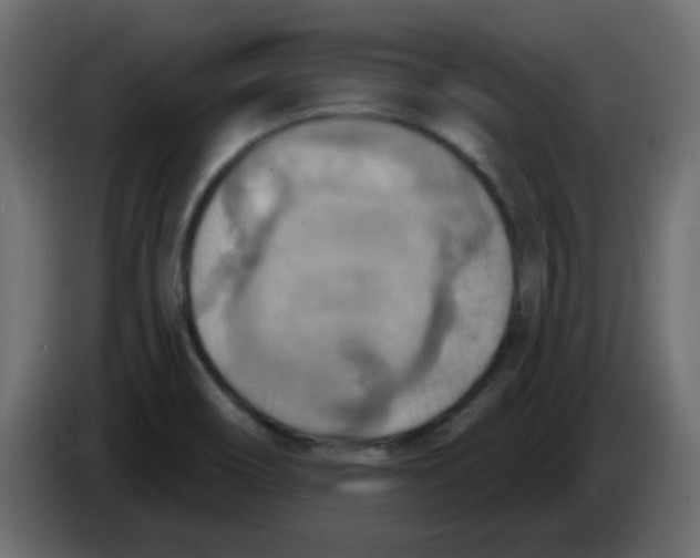 X0000084601466200703231916