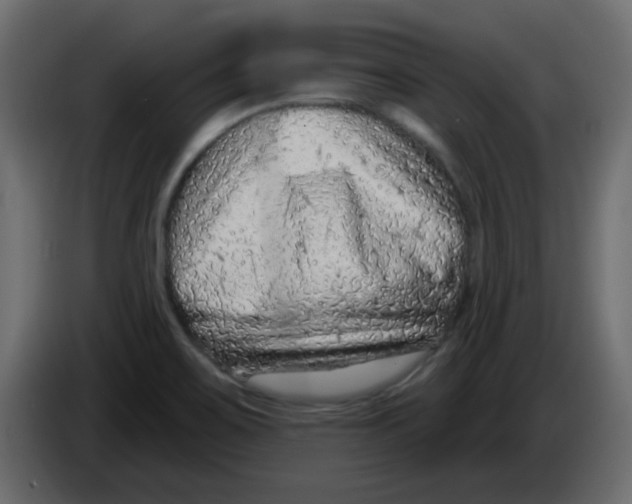 X0000084601467200703231916