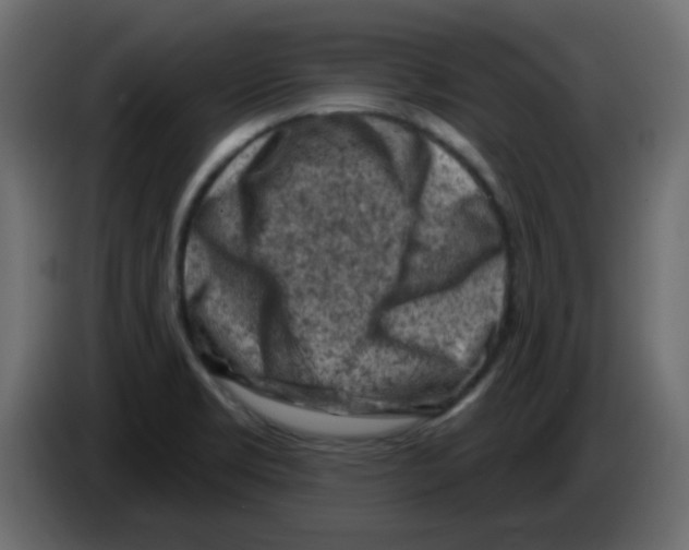 X0000084601469200703231916