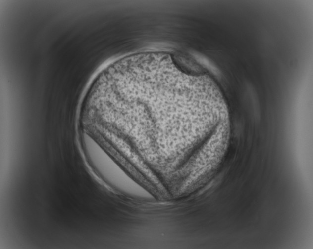 X0000084601471200703231916