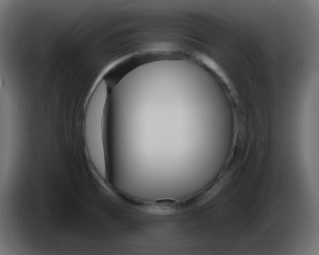 X0000084601473200703231916