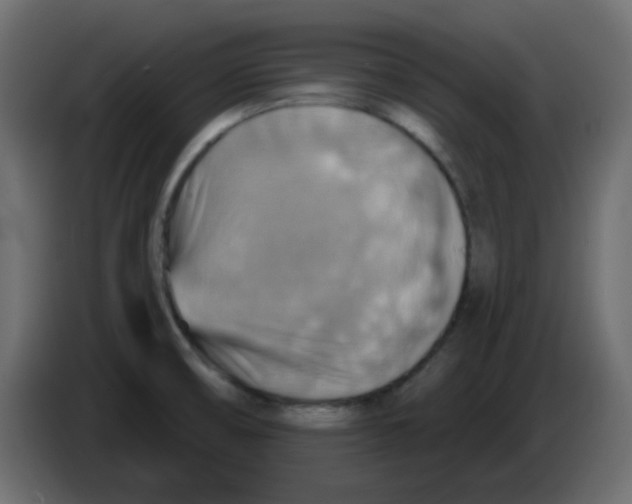 X0000084601474200703231916