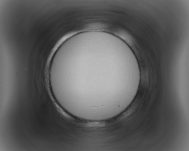 X0000084601478200703231916