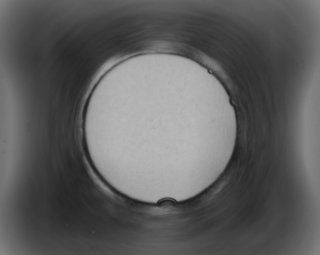 X0000084601479200703231916