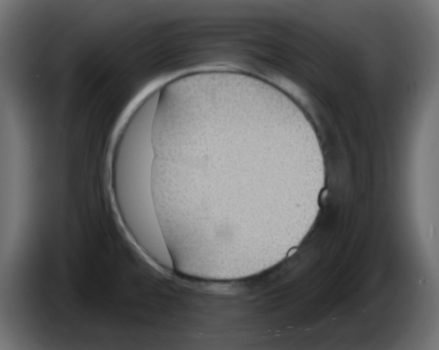 X0000084601480200703231916