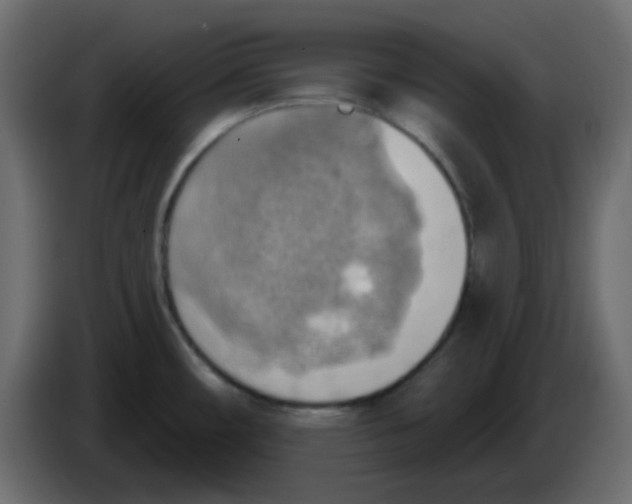 X0000084601482200703231916