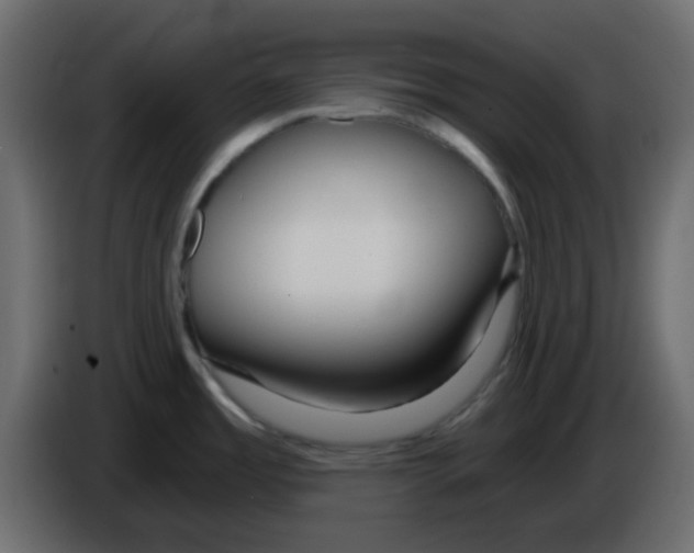 X0000084601485200703231916