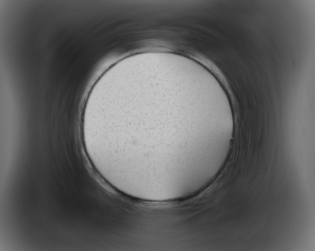 X0000084601488200703231916