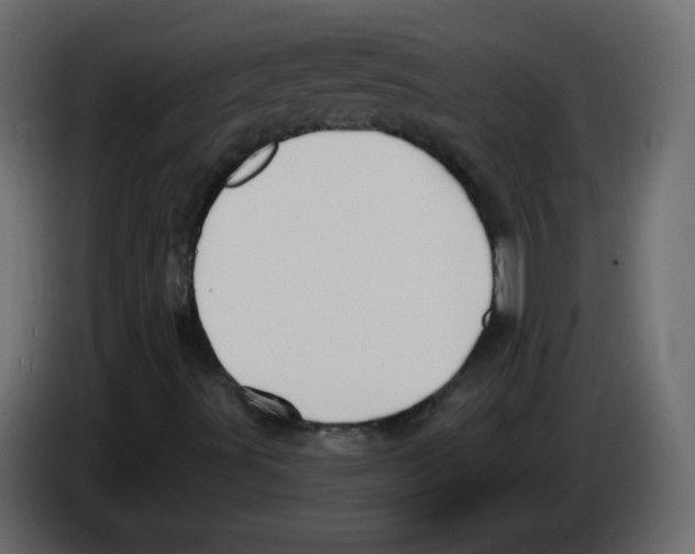 X0000084601491200703231915