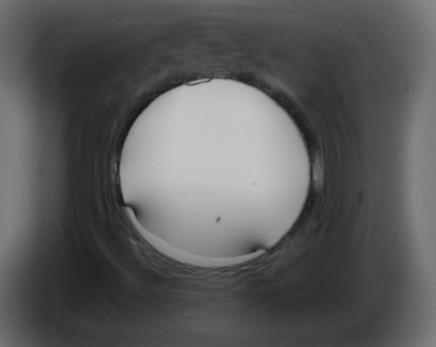 X0000084601492200703231915