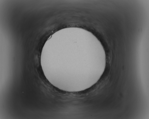 X0000084601493200703231915