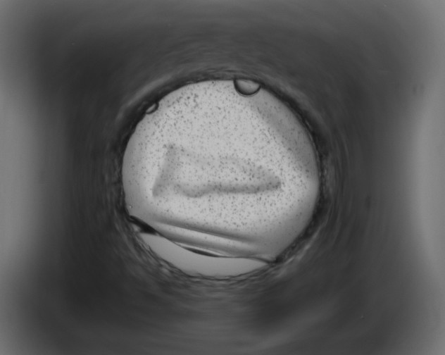 X0000084601494200703231915