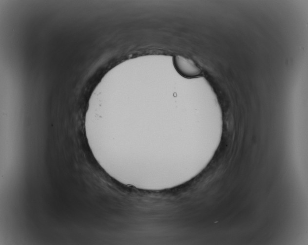 X0000084601495200703231915