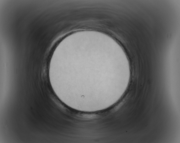 X0000084601498200703231915